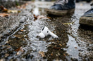 Are AirPods Pro 3 Waterproof? How to Protect Them From Water, Sweat & Damage